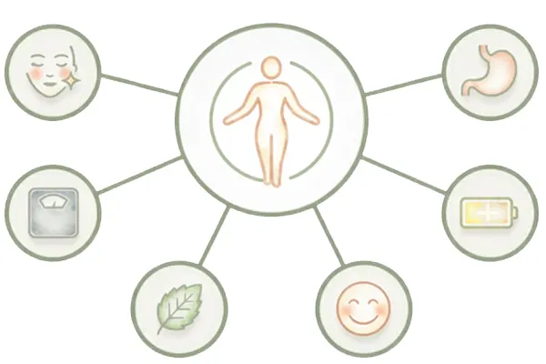 Diagram showing the cascading benefits of a healthier gut on the entire body, including clearer skin, weight management, improved digestion, sustained energy, and reduced stress and irritability.