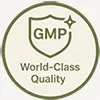 GMP - World Class Quality icon